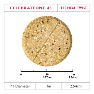 CelebrateONE 45 Multivitamine bariatrique à prendre une fois par jour avec Fer